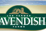 Cavendish Farms Vacation Lottery nets $4170 for Easter Seals!